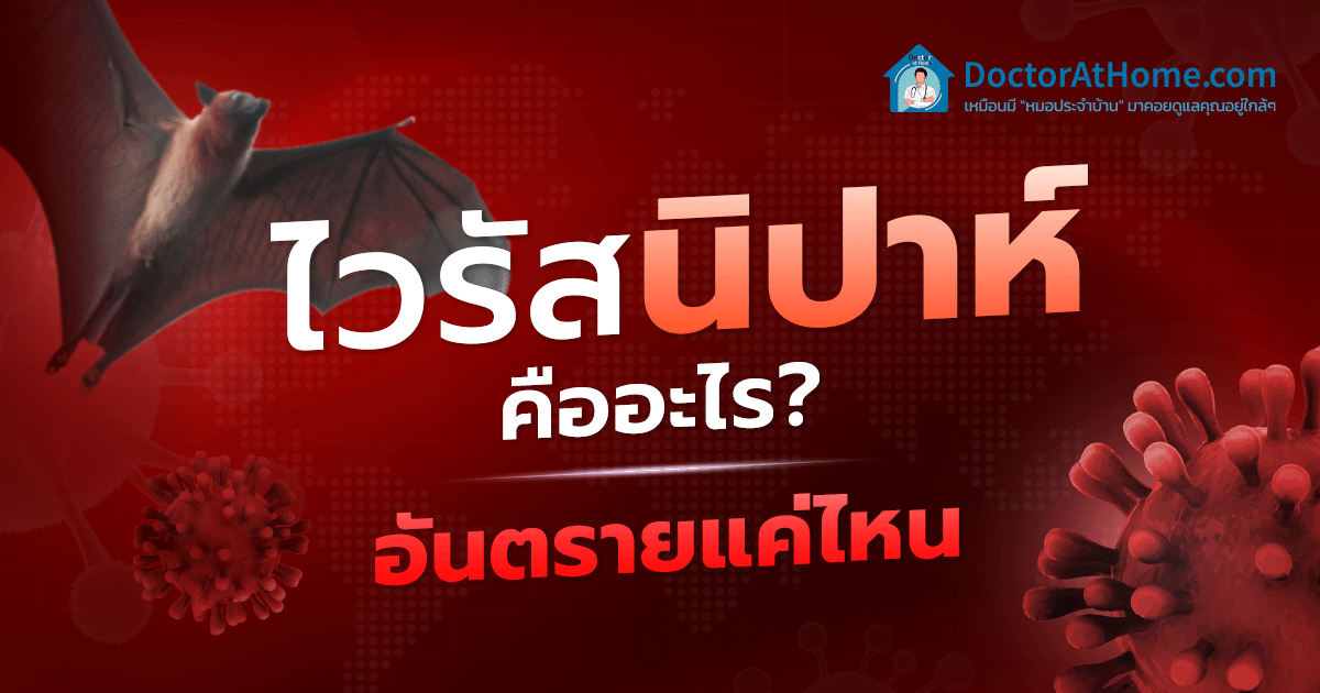 โรคติดเชื้อไวรัสนิปาห์คืออะไร? อันตรายแค่ไหน